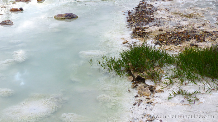 terme di petriolo hot springs