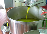 Picture of olive oil: first cold press olive oil