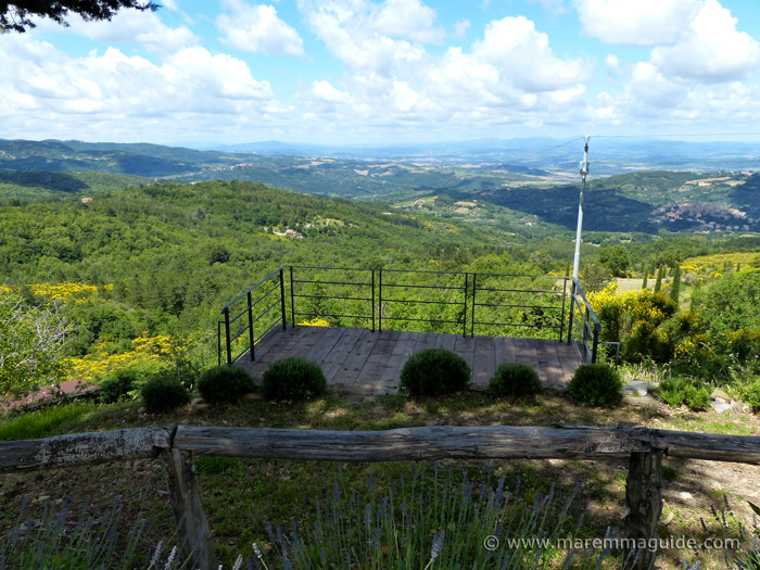 Panoramic view