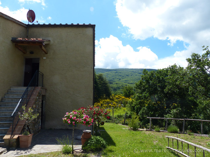 Side of house with front door and garden with roses