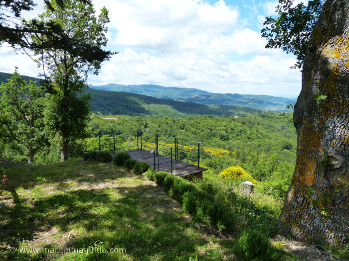 The garden with lavender plants and the view