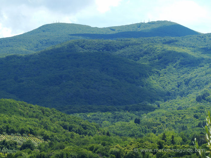 View of wooded hills