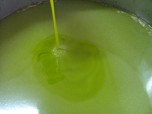 Picture of Olive Oil: Olio Extravergine di Oliva Toscano