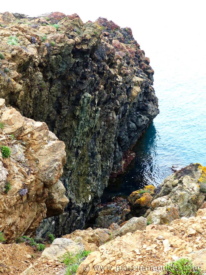 Parco di Punta Falcone Piombino is a surprise