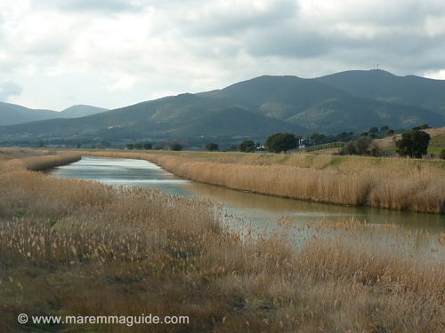boat trip castiglione della pescaia tuscany italy pictures winter in undiscovered maremma boat trip castiglione della pescaia tuscany italy pictures winter in undiscovered maremma