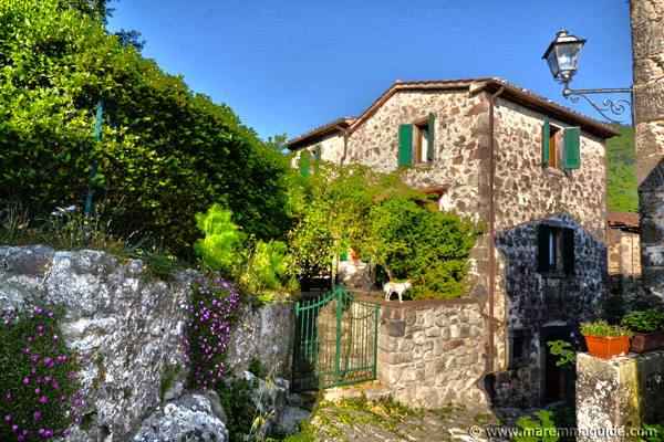 Maremma property for sale