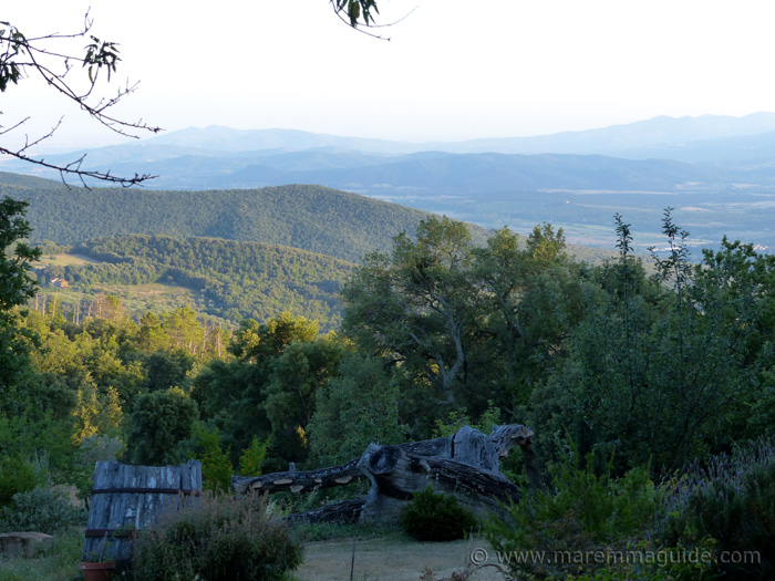 Old Tuscany farmhouse for sale in Maremma